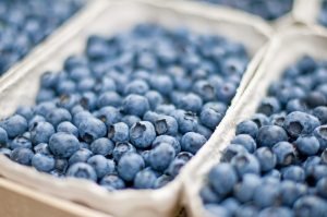 Blueberry Growers 