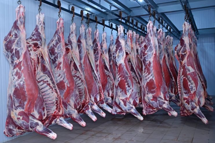 Beef Export Values