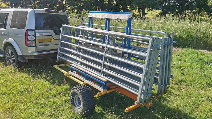 Sheep race trailer