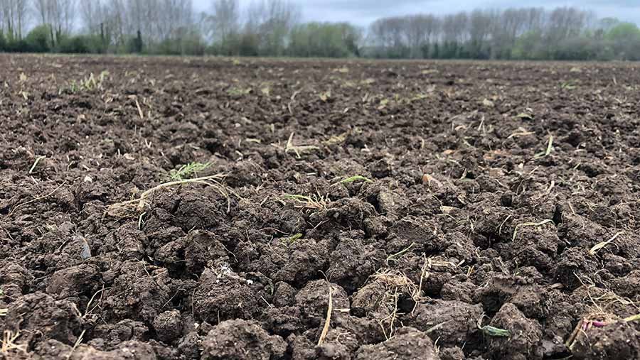 Spring drilled soil 