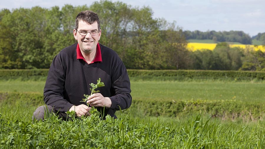 Farmer with green forage