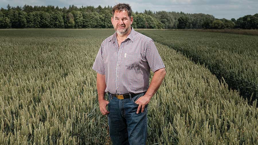 Man in a cereal crop field