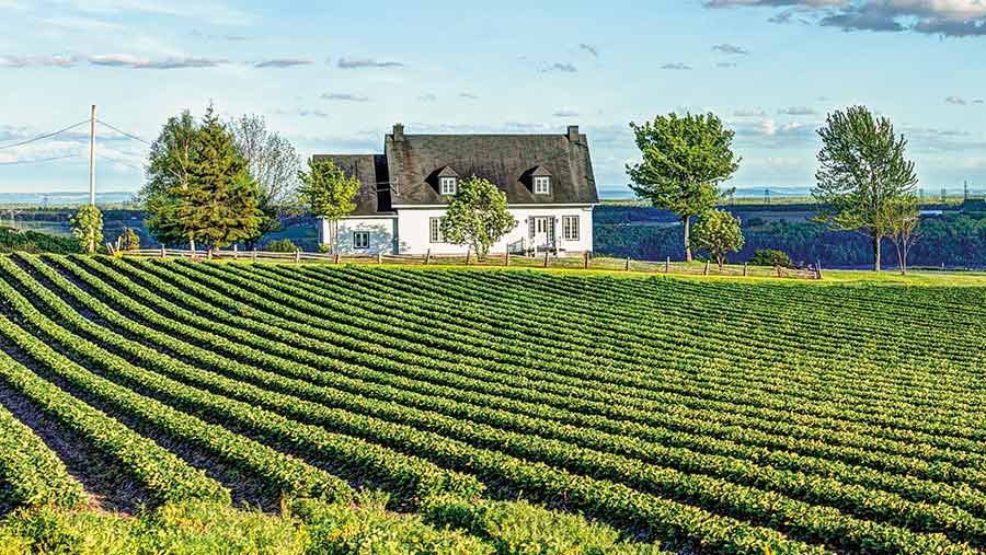 Canadian farm