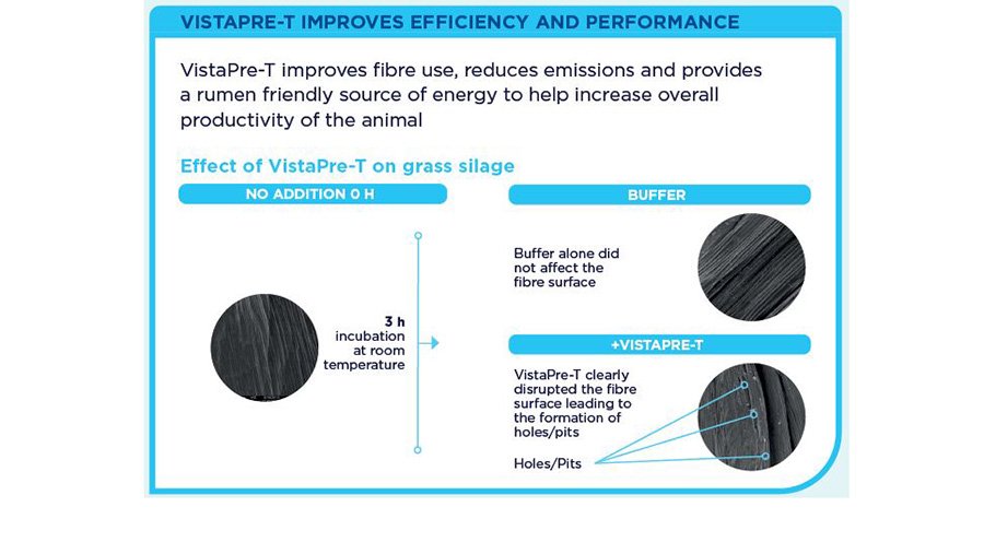 Effect of VistaPre-T on Grass Silage