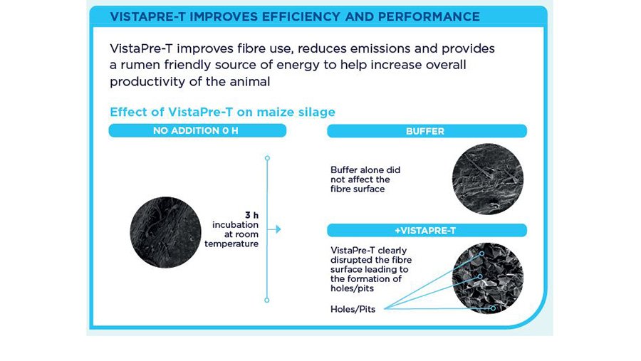 Effect of VistaPre-T on Maize Silage