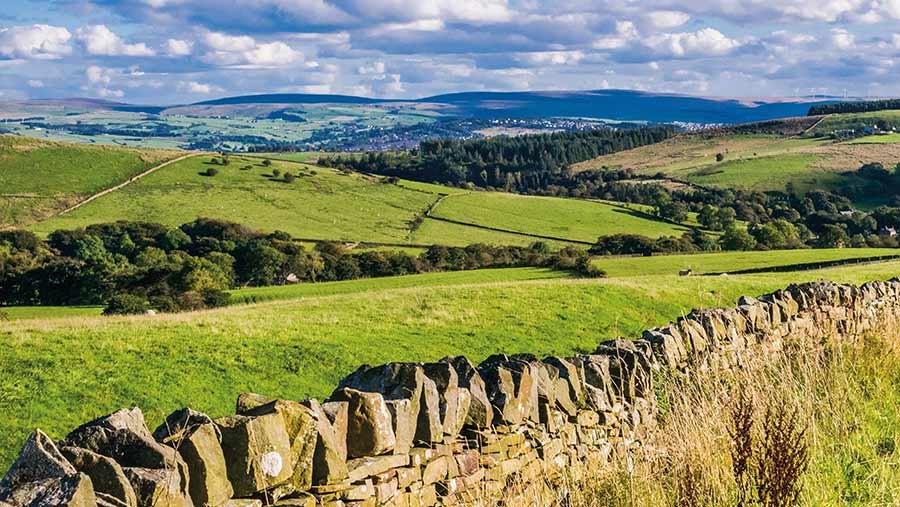 UK farmland