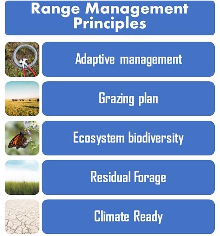 Figure 1. The five range management principles or Rancher Rules.