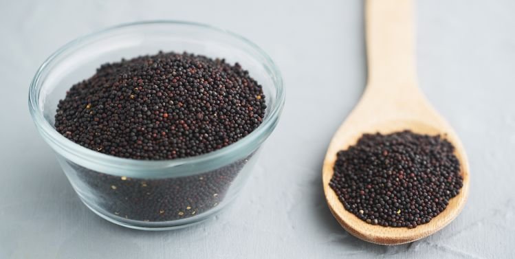 Canola seeds-Merit