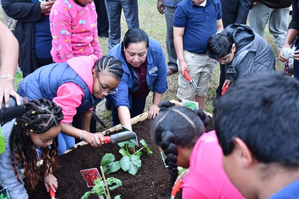 A group of youth participating the the Learn, Grow, Eat and Go! program with at least one adult looking at plants outside in a boxed garden