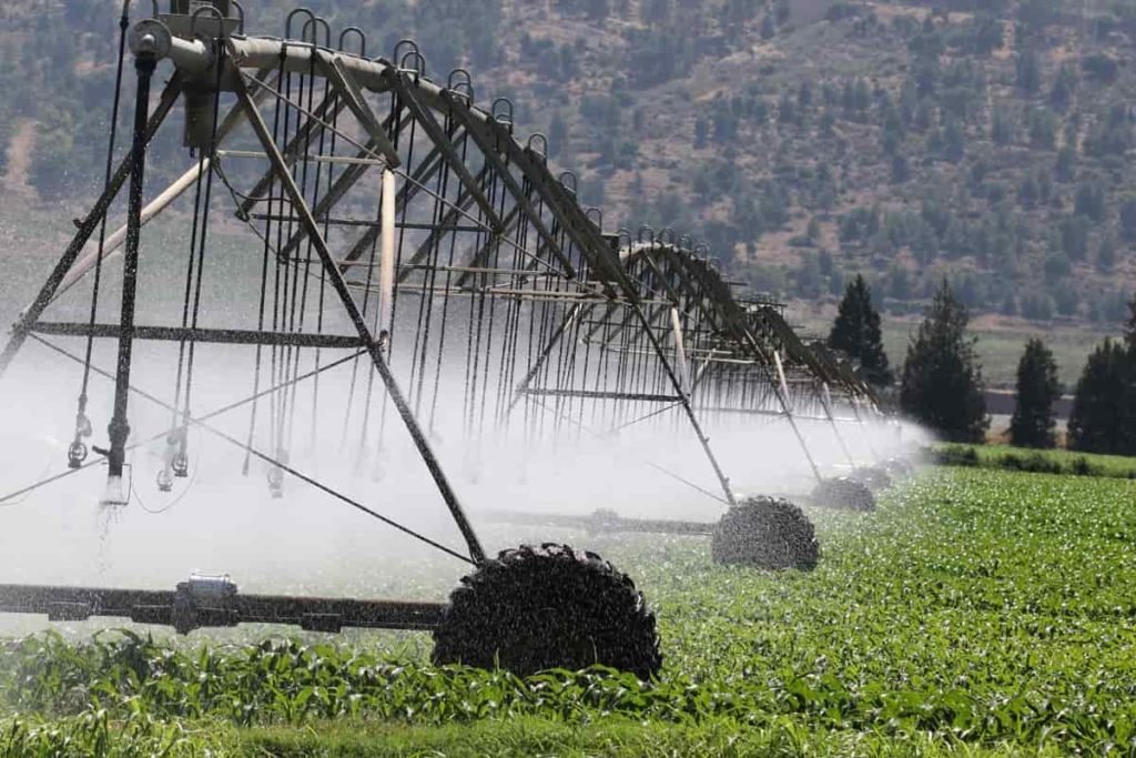 Irrigation Structure