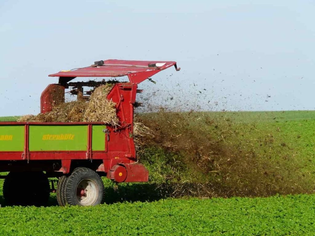 Fertilizing Sunflower
