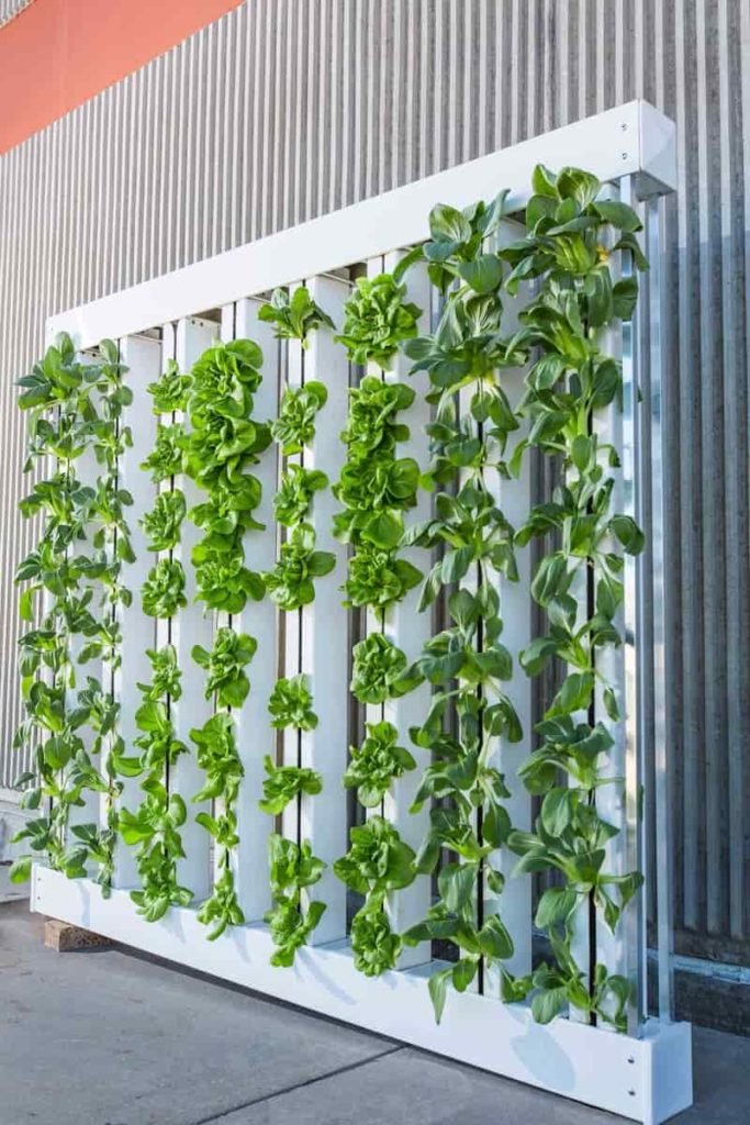 Vertical Farming