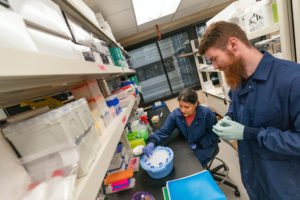 Two people, a woman sitting and a man standing, work on tick samples in an entomology lab.