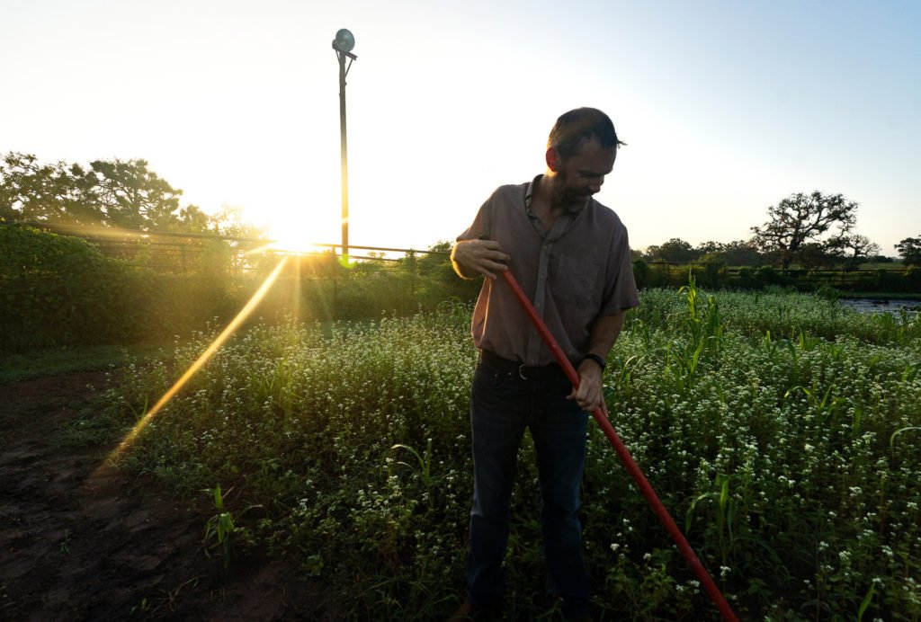 A man standing out working in a garden with the sun brightly shining over his back.