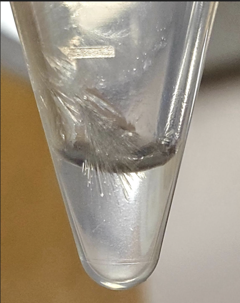 tiny crystals over solution in a plastic tube