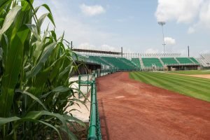 MLB-Field-of-Dreams-stadium_day