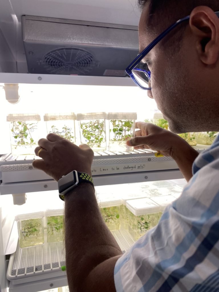 A man in glasses Dr. Kranthi Mandadi, works with small plants in his lab