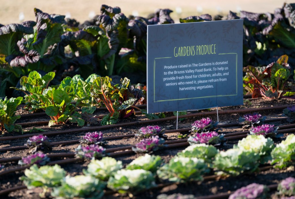 Sign in the Leach Teaching Gardens about the produce being donated to the Brazos Valley Food Bank.