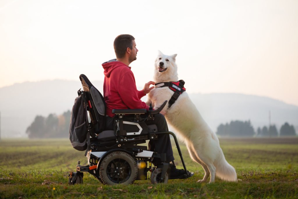 Disabled man in wheelchair along with service dog