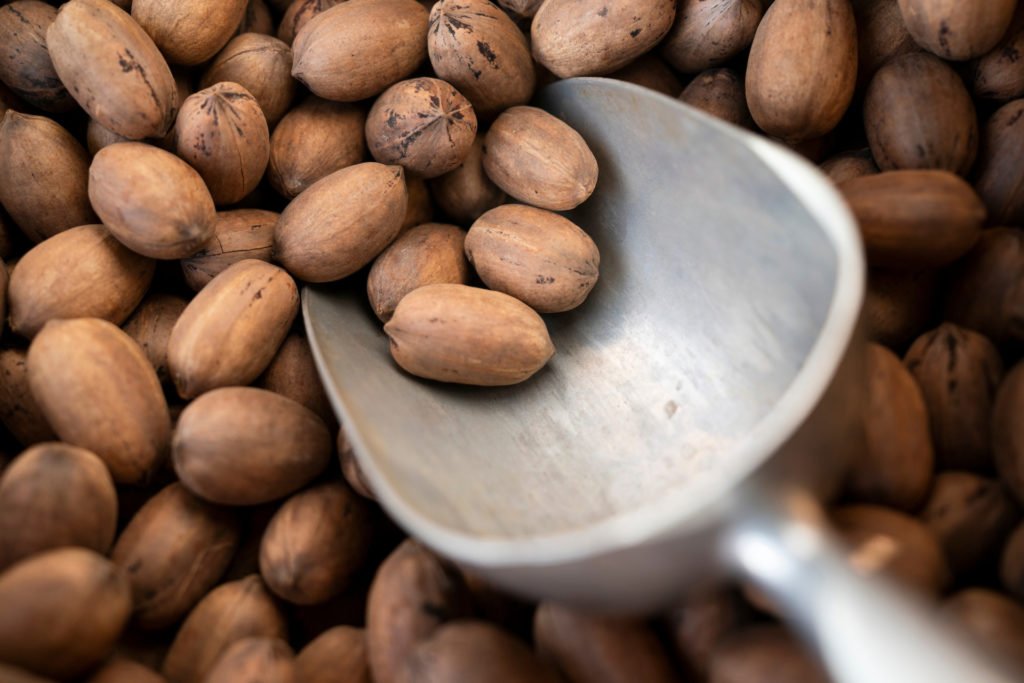 A silver scooper is in the middle of pecans. A half dozen of the shucked brown nuts in their shell rest in the silver scoop.
