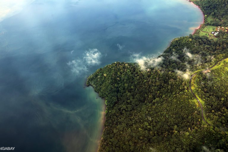 Rainforest on Costa Rica's Osa Peninsula. Photo by Rhett Butler.