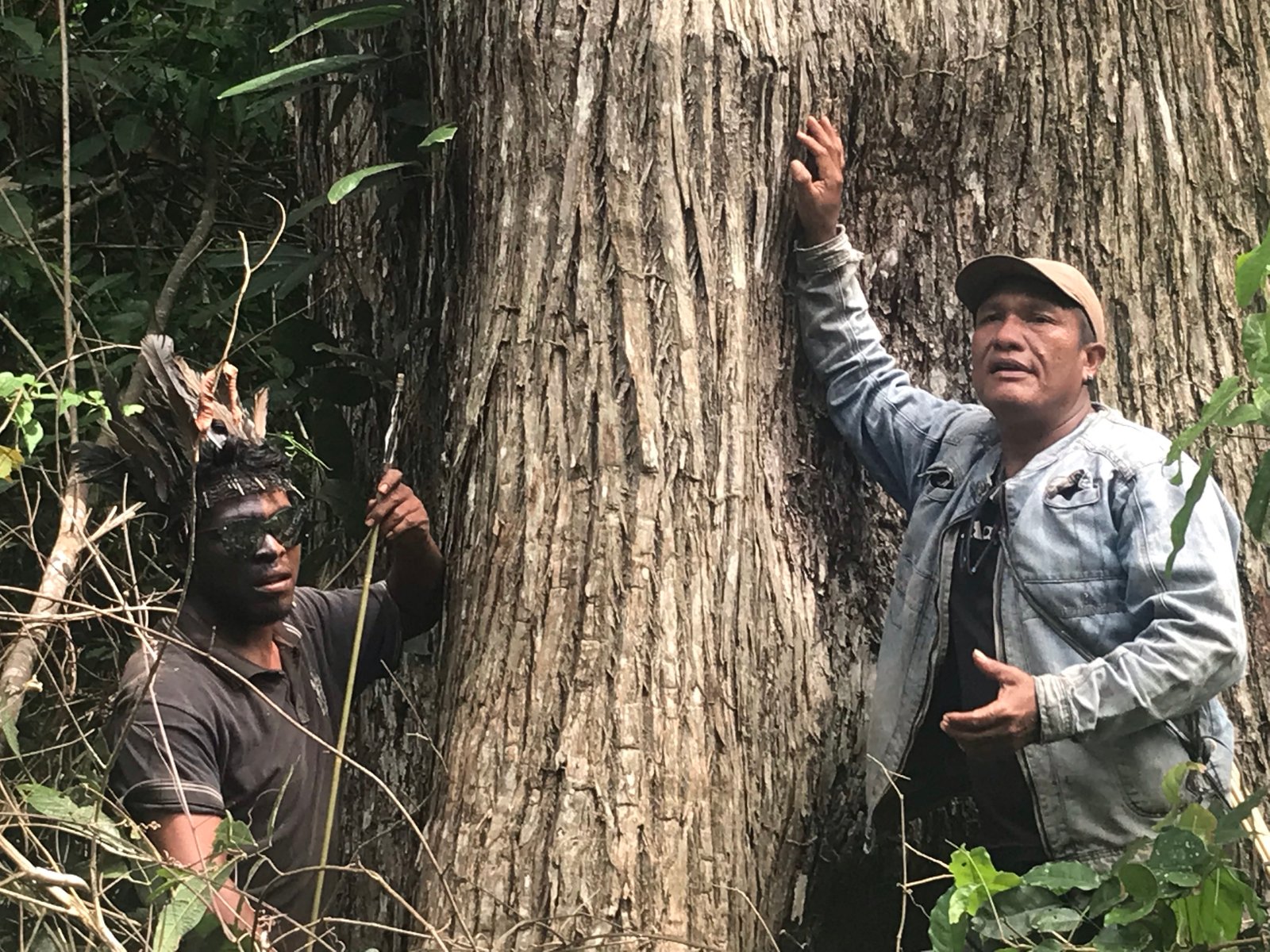 Indigenous leader Paulo Paulino Guajajara, left, and Indigenous chief Olímpio Iwyramu Guajajara, right, both “Guardians of the Forest,” show a tree targeted by loggers in the Arariboia Indigenous Territory, in Brazil’s Maranhão state, on Jan. 31, 2019. Image by Karla Mendes/Mongabay.