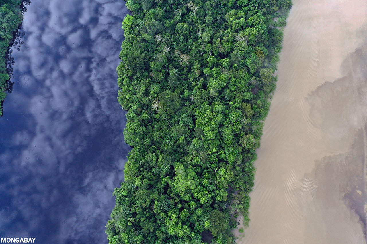 Blackwater oxbow lake, rainforest, and a whitewater river in the Amazon. Photo by Rhett A. Butler.