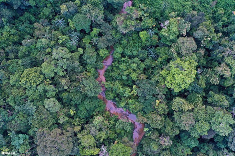 Rainforest creek in the Colombian Amazon. Image by Rhett A. Butler.