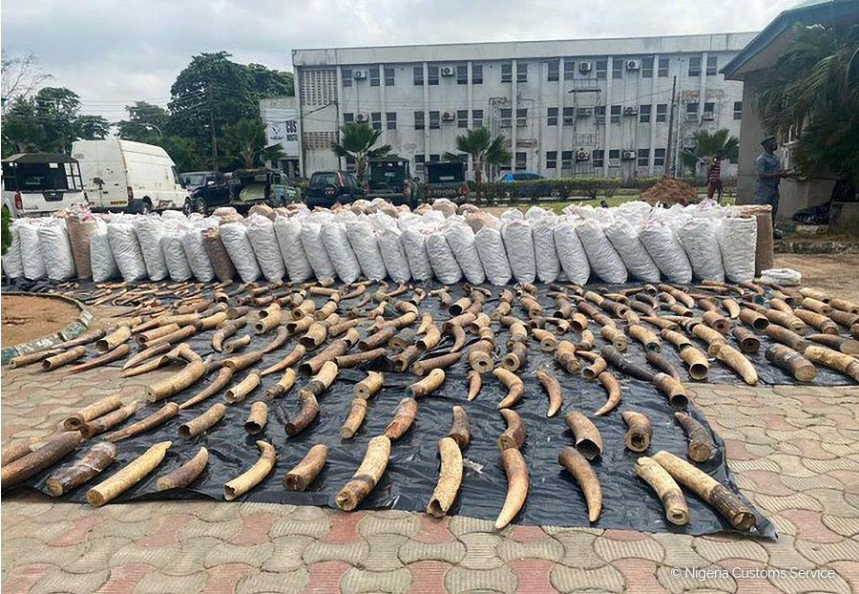 Photos of the seizure. Photo credit: Nigeria Customs Service