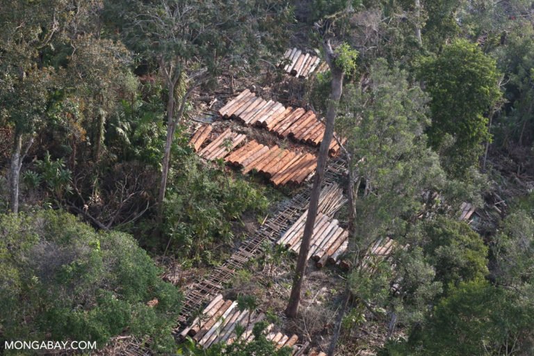 Logging concession in North Sumatra, Indonesia. Photo credit: Rhett A. Butler