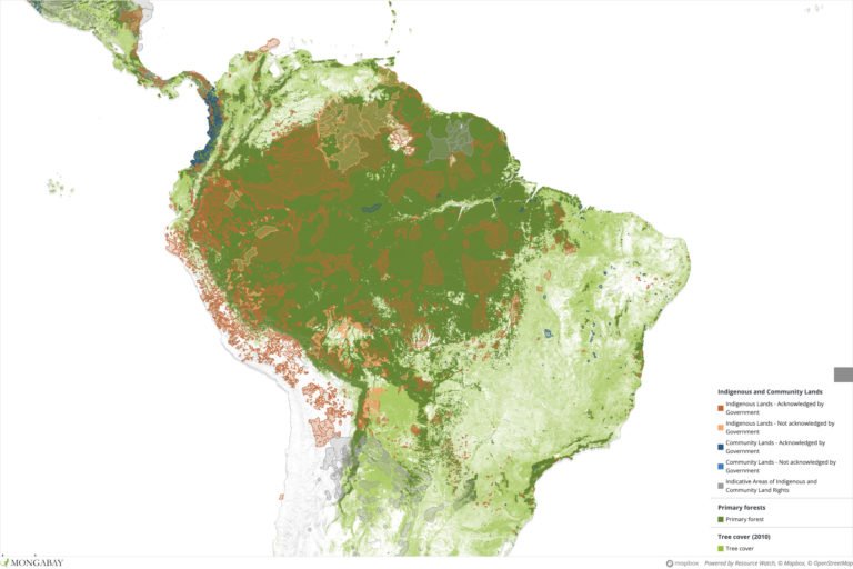 Map of Indigenous and Community Lands overlaid on primary forests in South America.