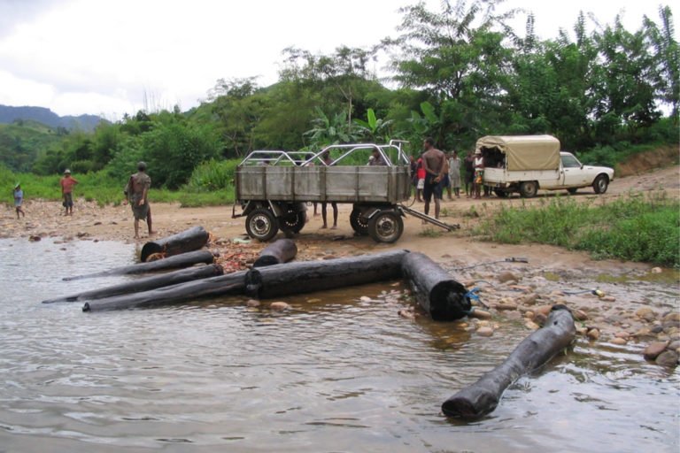 Rosewood being removed illegally from Marojejy National Park, Madagascar. Image by Marojejy.com (PKA - EM) via Wikimedia Commons (CC BY-SA 3.0).