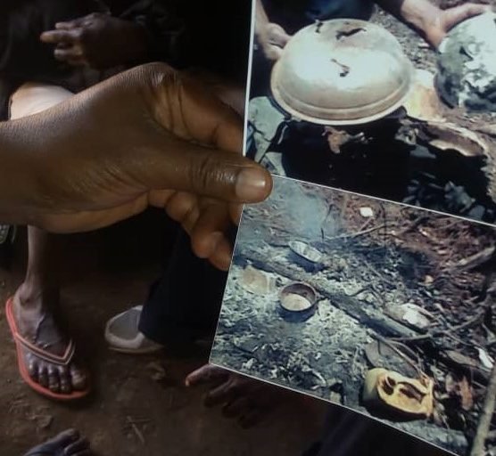 Homes burned inside Kahuzi-Biega National Park in 2019. Image courtesy of RCF-RDC.