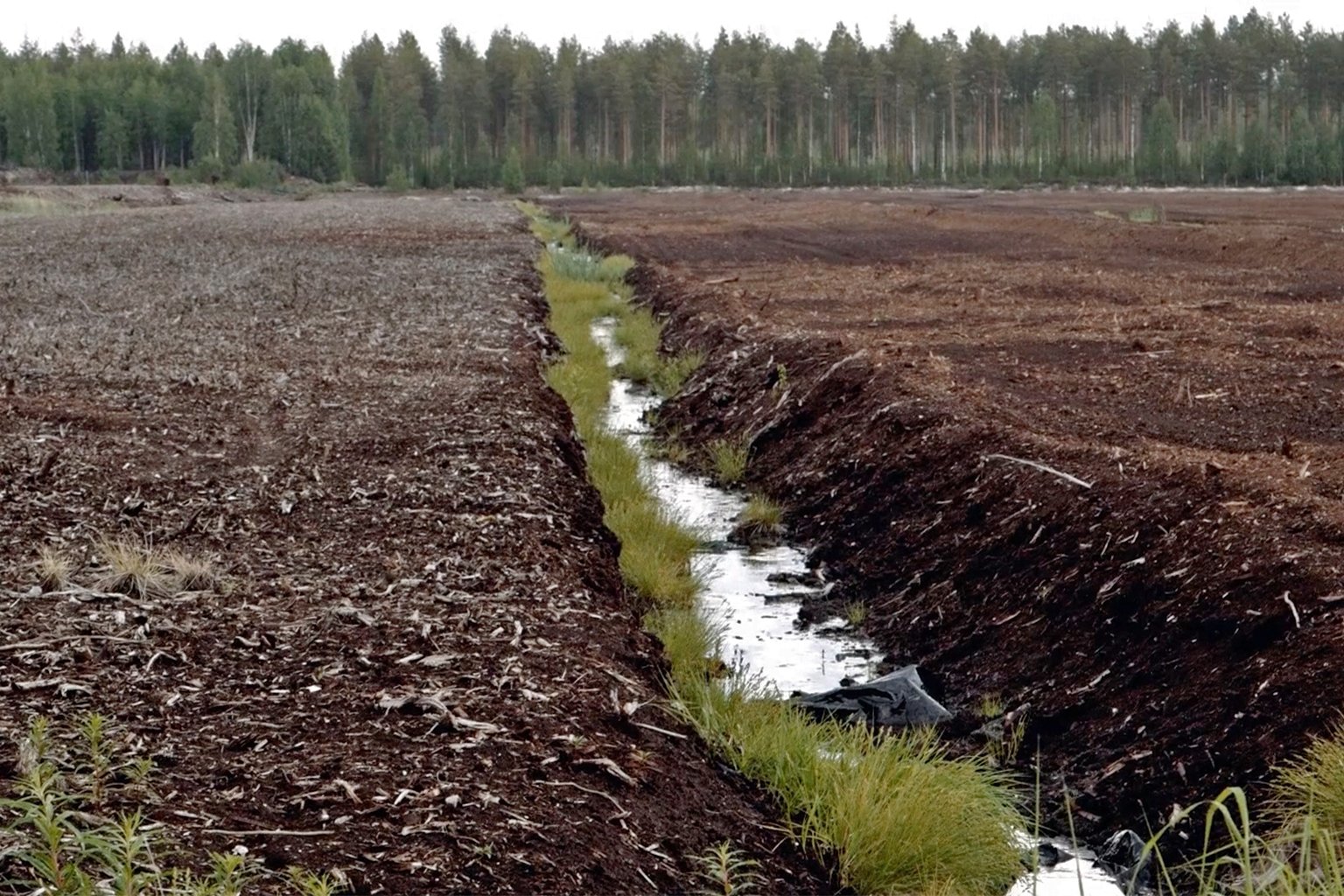 A view of a peat mining area in Selkie. 