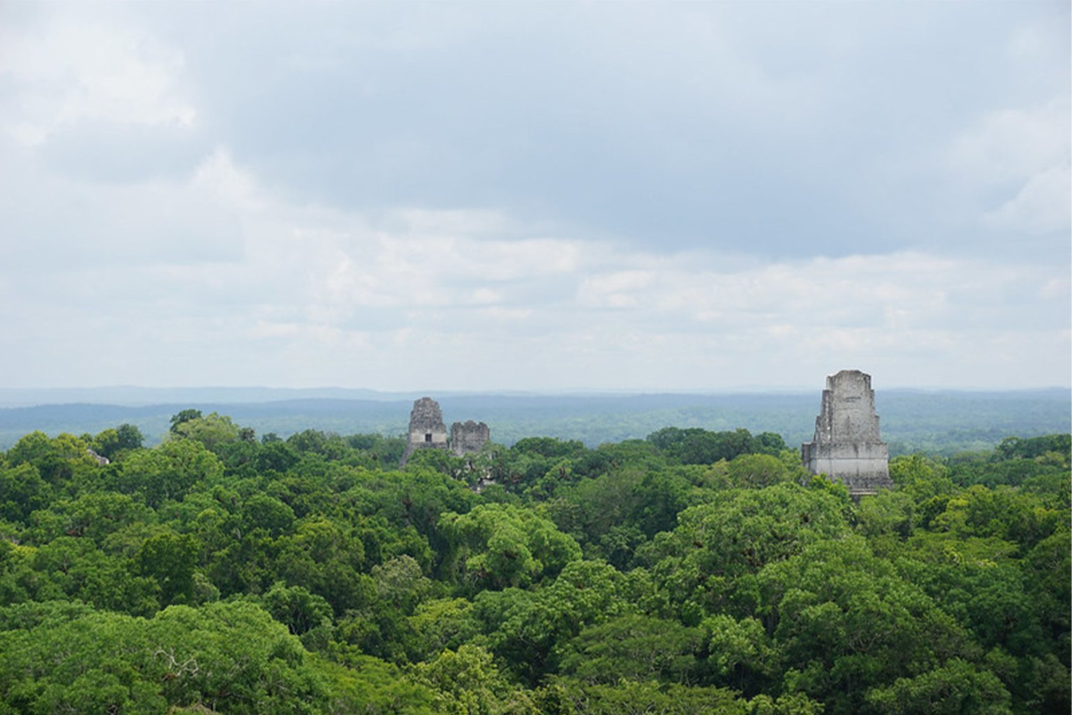 The Maya Biosphere Reserve in Guatemala. Large-scale deforestation in the region has been linked, in part, to narco-trafficking, say experts. 