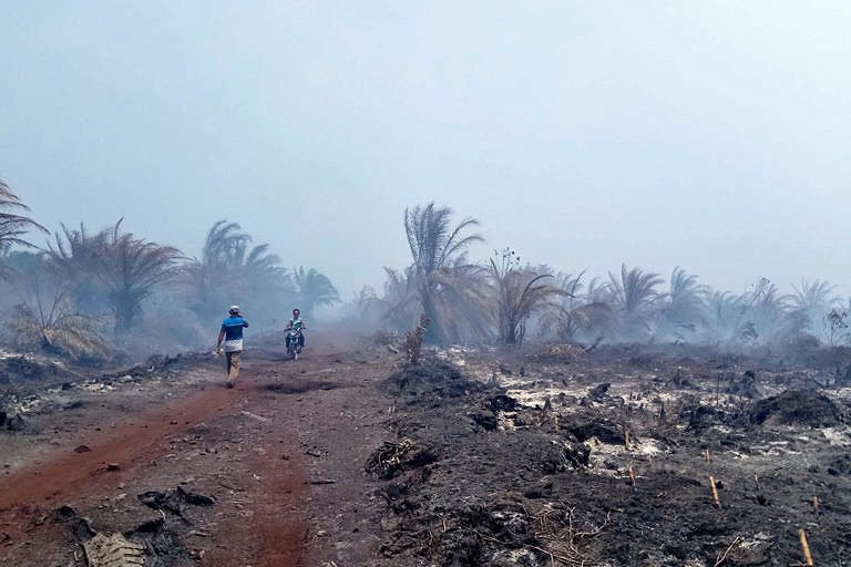 Peatland fires in Riau, 2018.