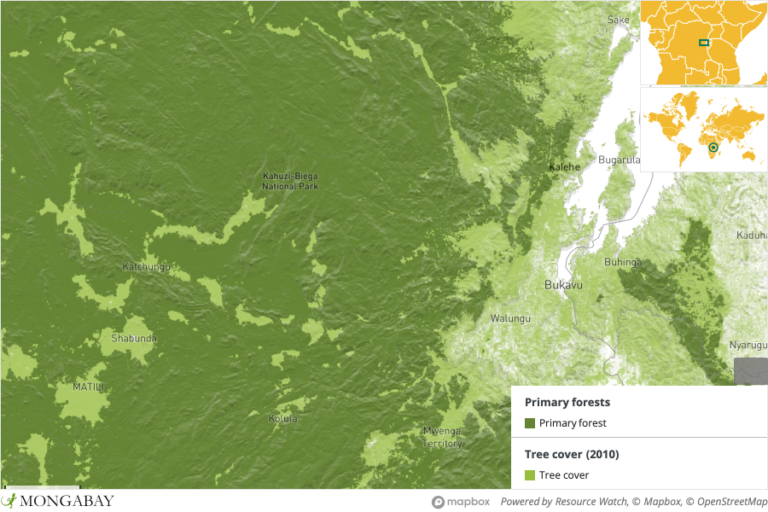 Map of Kahuzi-Biega National Park. Image courtesy of Mongabay.