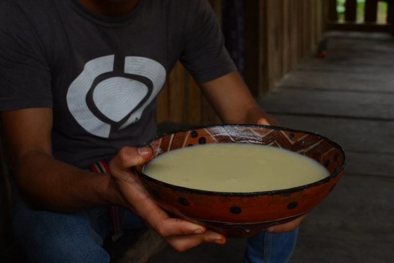 Chicha, made from yuca collected in charkras, is a traditional fermented drink common in Indigenous communities across the Amazon