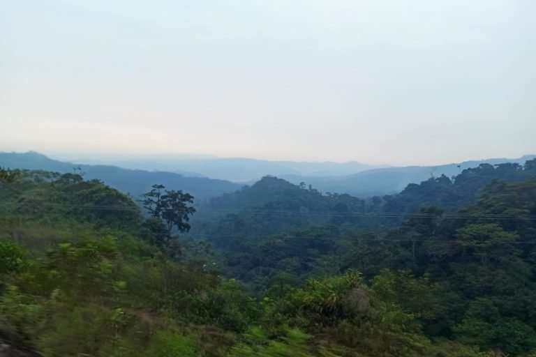 The Indigenous Kichwa territory located in Ecuador’s largest province Pastaza which is 86% covered in tropical forest