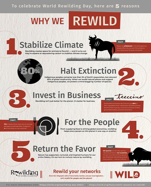 5 reasons to rewild infographic.