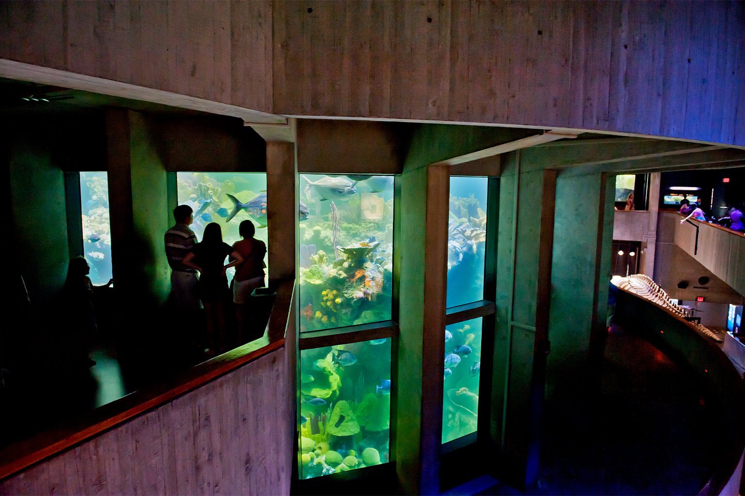 The Giant Ocean tank at the New England Aquarium was once the largest aquarium tank in the United States.