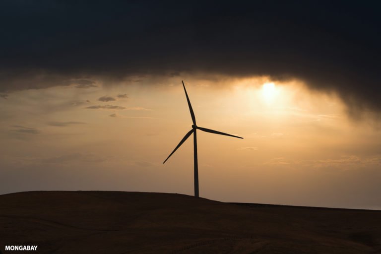 Altamont wind farm in California. Photo credit: Rhett A. Butler / Mongabay