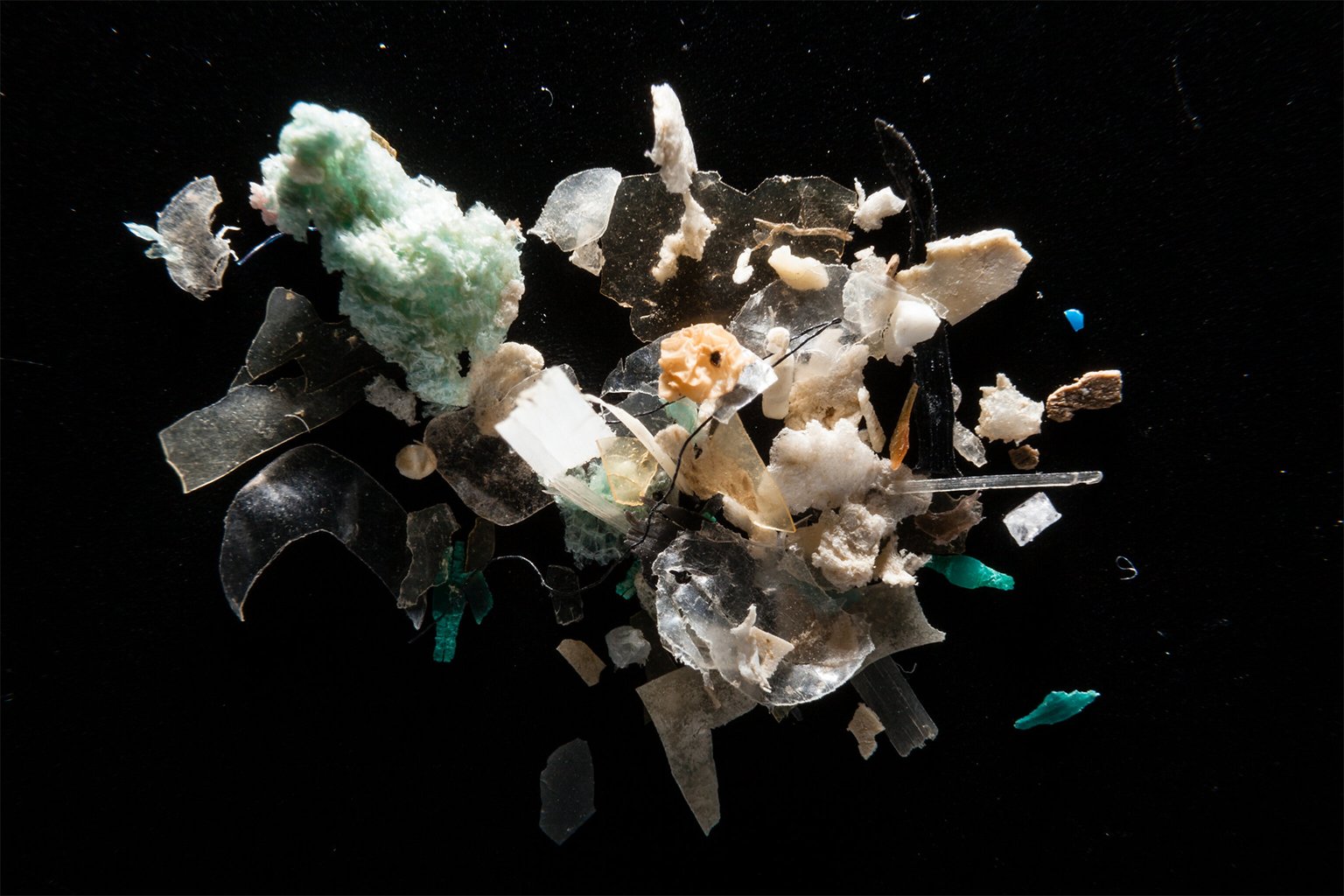 Microplastics in the Chesapeake Bay watershed, U.S.