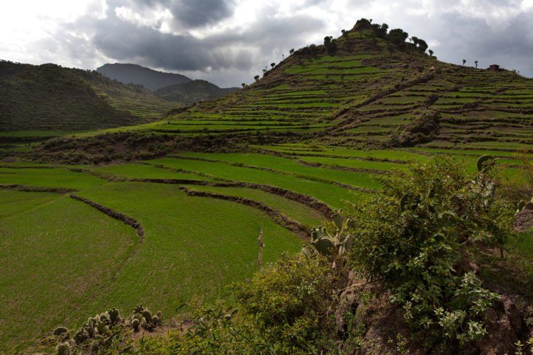 Ethiopia, Tigray region, Rayazebo District. This mountain was terraced to prevent erosion and to reclaim the land for agriculture. Image courtesy of UN Convention to Combat Desertification.