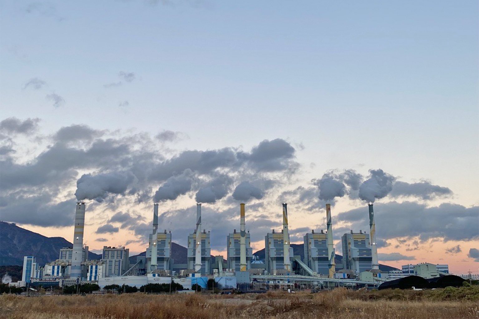 The Hadong power plant in South Korea co-fires coal with woody biomass, allowing it to claim it is reducing emissions under the UN loophole.