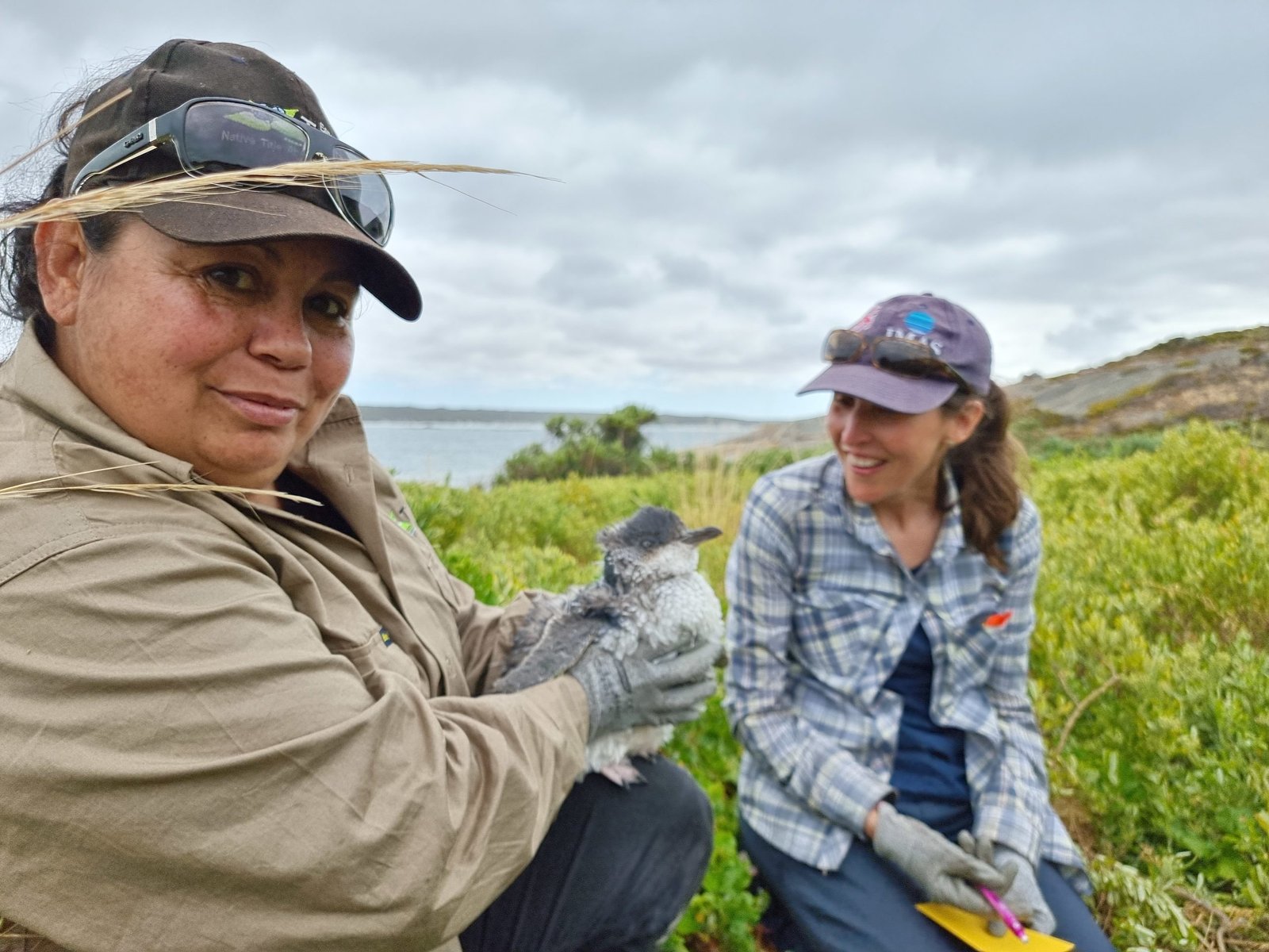 Jennell Reynolds holding a little penguin on Ben Island with Jenn Lavers.