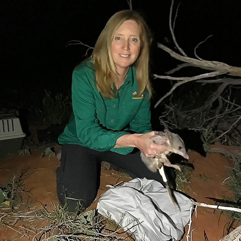 Katherine Moseby releasing a bilby. Image courtesy of Brianna Coulter.