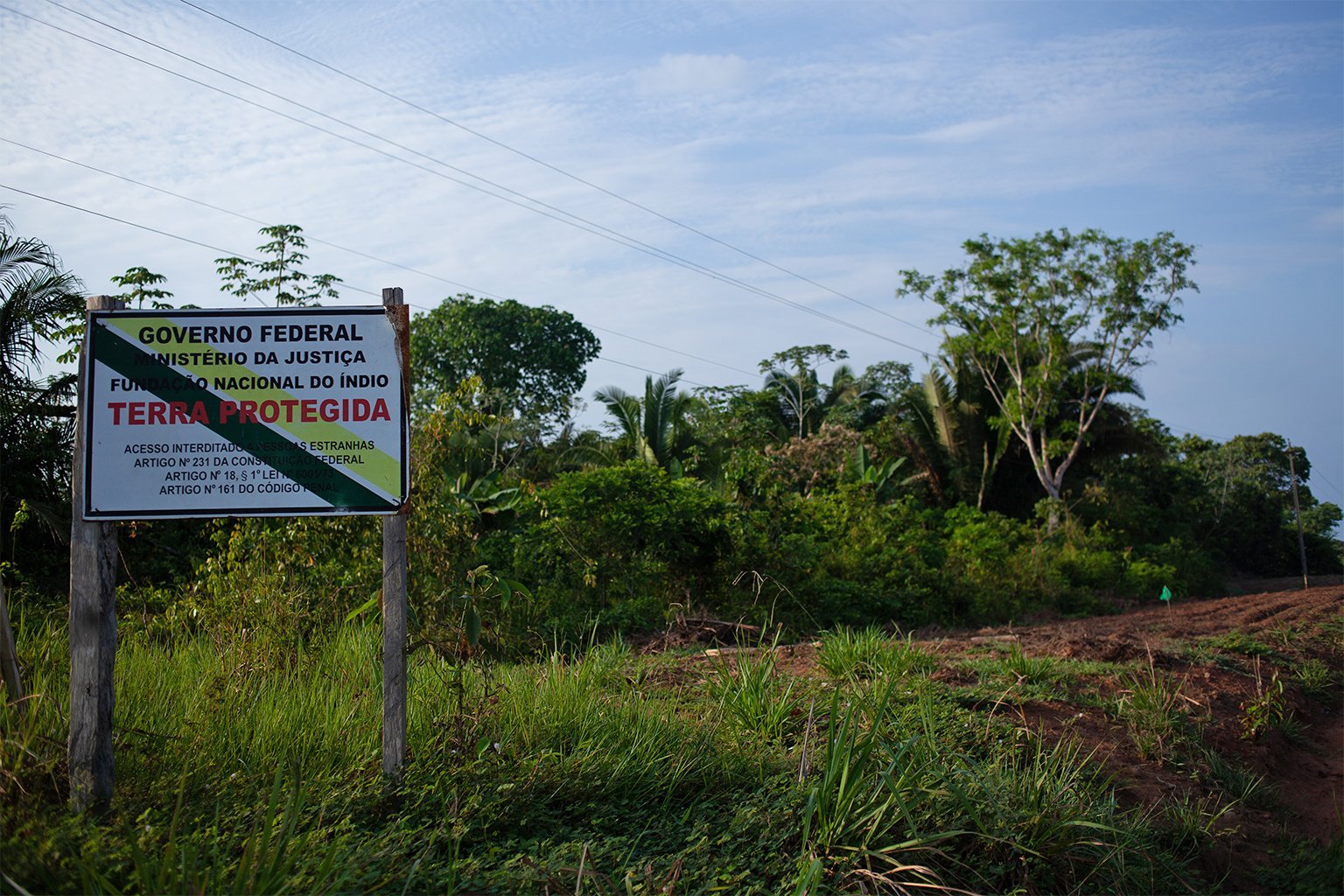 In some cases, the ranches are even invading their territories, with the livestock destroying their subsistence crops and polluting their water. Image by Ana Ionova for Mongabay