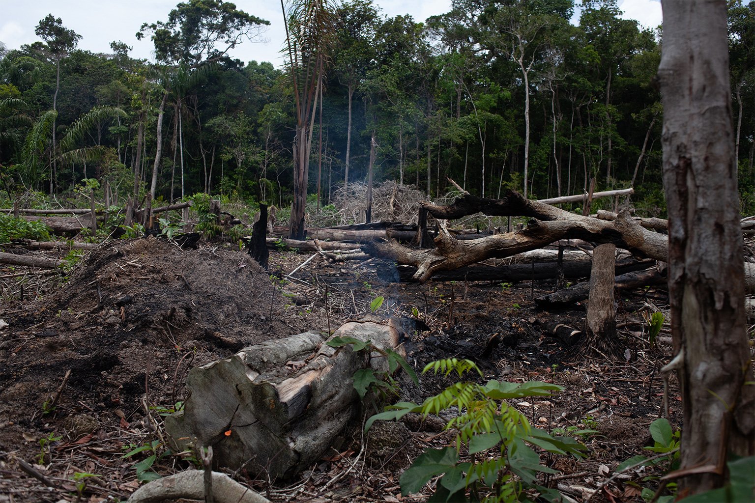 A new frontier of deforestation is emerging in southern Autazes, in Amazonas state, as invaders descend on the forest. In one stretch, a fire is still engulfing a recently deforested patch of land flanking the road. Indigenous people say much of the destruction is related to land speculation as a massive potash mining project awaits approval. Image by Ana Ionova for Mongabay.