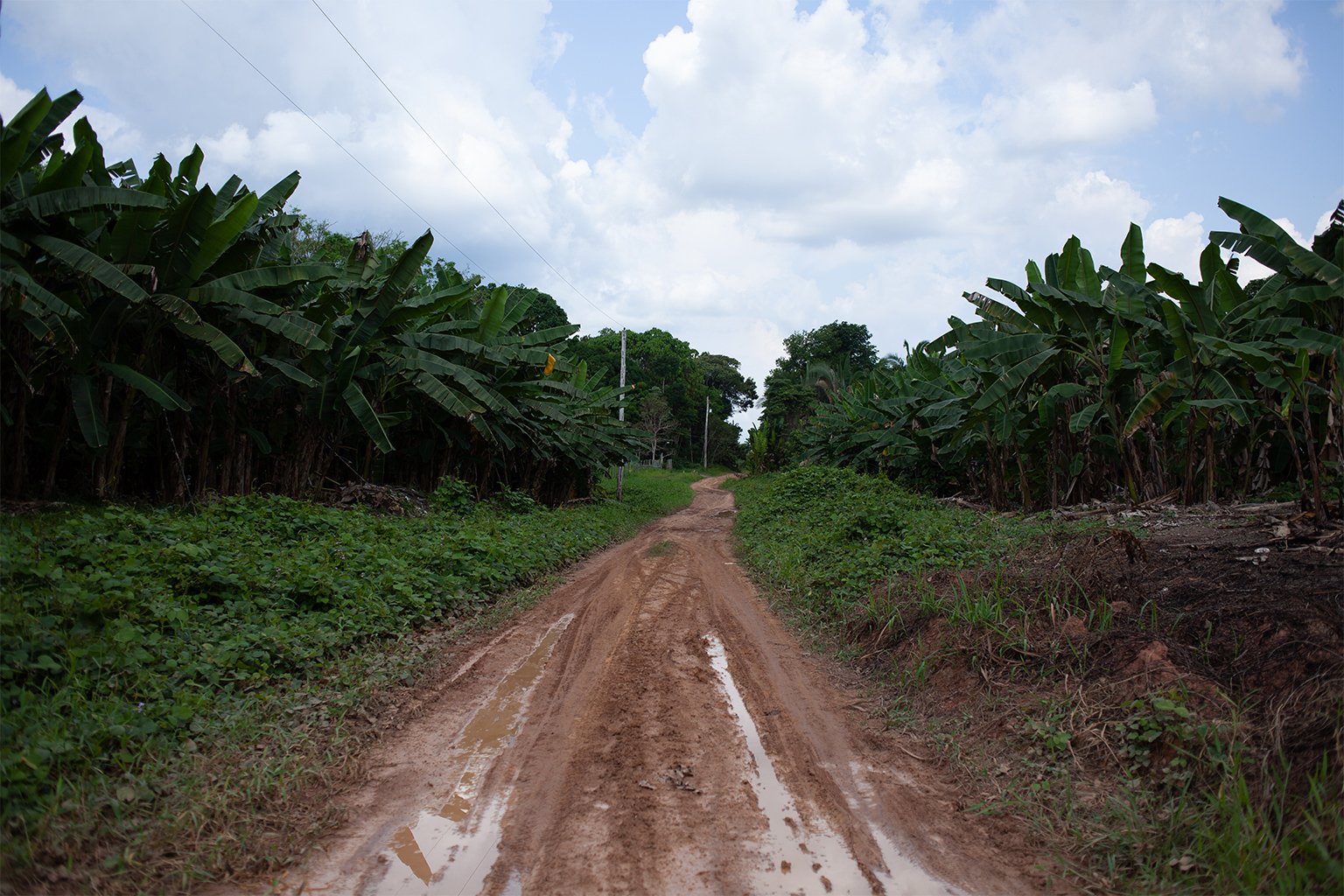 There are signs of a new frontier of deforestation emerging in Autazes, as invaders descend on this slice of the Amazon. Indigenous leaders say the area is now plagued by illegal logging and land grabbing. Much of it is related to speculation as a massive potash mining project awaits approval. Image by Ana Ionova for Mongabay.